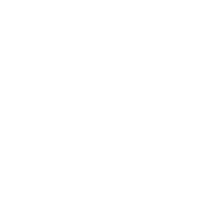 Logo-branco